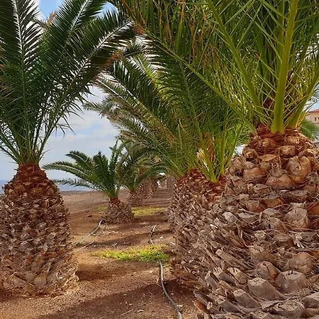 Inviting 1-Bed Apartment Atlantic Wave Διαμέρισμα *